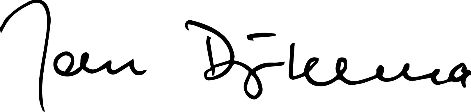 Jan Dijkema long signature